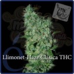 ELITE SEEDS - Llimonet Haze Clásica THC