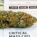 DINAFEM - Critical Mass CBD