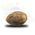 ROYAL QUEEN SEEDS - Power Flower®