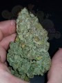 FASTBUDS - CBD 1:1 Auto (CBD Crack Auto)