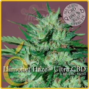 ELITE SEEDS - Llimonet Haze Ultra CBD