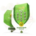 ROYAL QUEEN SEEDS - Bubble Kush Automatic