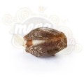 ROYAL QUEEN SEEDS - Royal Creamatic Automatic