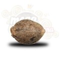ROYAL QUEEN SEEDS - Royal Cheese® (Fast Version)