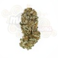 ROYAL QUEEN SEEDS - Royal Cookies