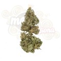 ROYAL QUEEN SEEDS - Royal Domina