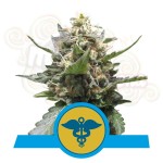 ROYAL QUEEN SEEDS - Royal Medic CBD