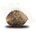 ROYAL QUEEN SEEDS - Shining Silver Haze®