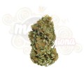 ROYAL QUEEN SEEDS - Sour Diesel