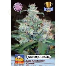 KERA SEEDS - Amsterdam Cheese