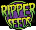 RIPPER SEEDS - Sideral