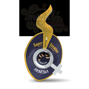 SUPER STRAINS - Amnesia