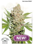  DUTCH PASSION - Auto Lemon Kix (Zkittle)