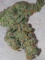 FASTBUDS - Girl Scout Cookies Auto