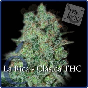 ELITE SEEDS - La Rica Clásica THC