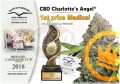 DUTCH PASSION - CBD Charlotte’s Angel ®