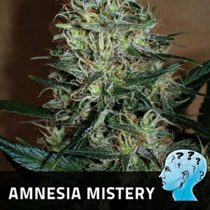 POSITRONICS - Amnesia Mistery