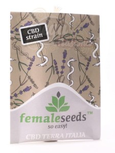 Female Seeds - CBD Terra Italia