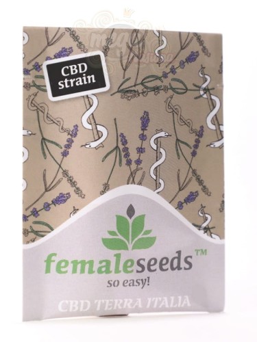 Female Seeds - CBD Terra Italia