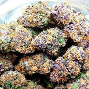 Gelato