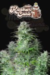 FastBuds - Kosher Cake Auto