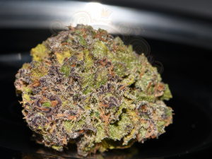 FastBuds - Smoothie Auto