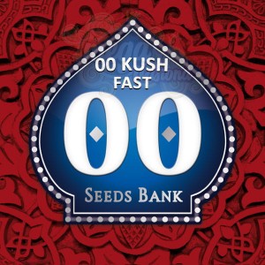 00 SEEDS BANK - 00 Kush Fast