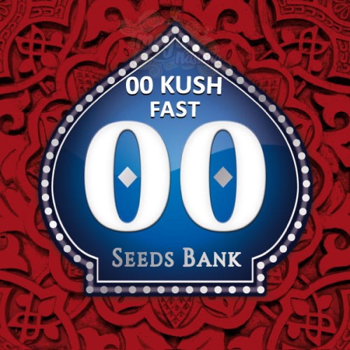 00 SEEDS BANK - 00 Kush Fast
