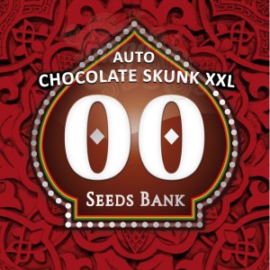 00 SEEDS BANK - Auto Chocolate Skunk XXL