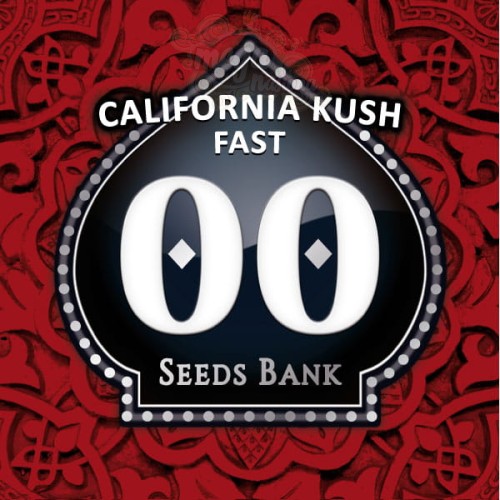 00 SEEDS BANK - California Kush Fast