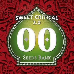 00 SEEDS BANK - Sweet Critical 2.0