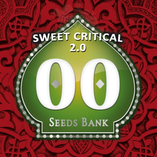 00 SEEDS BANK - Sweet Critical 2.0
