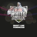 BSF SEEDS - White Gorilla