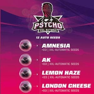 BSF Seeds- Psycho XXL Automix