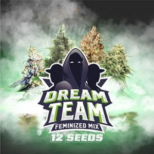 BSF Seeds - Dream Team Feminized Mix