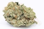 Zkittlez OG