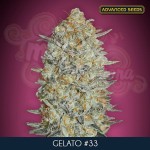 ADVANCED SEEDS - GELATO #33 FAST