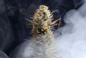 KANNABIA SEED - Kaboom (La Reina de Africa)