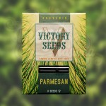 Victory Seeds - Parmesan