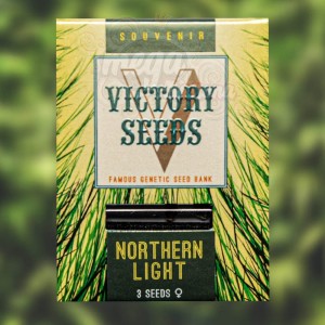Victory Seeds - Northern Light