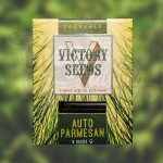 Victory Seeds - Auto Parmesan