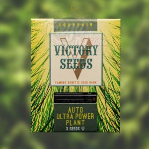Victory Seeds - Auto Ultra Power Plant