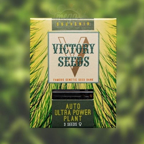 Victory Seeds - Auto Ultra Power Plant