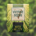 Victory Seeds - Auto AK-77V