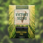 Victory Seeds - Bubblegum+ Pro