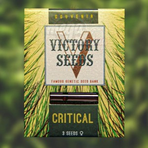 Victory Seeds - Critical