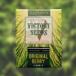 Victory Seeds - Original Berry