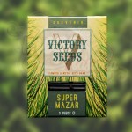 Victory Seeds - Super Mazar