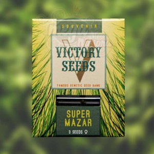Victory Seeds - Super Mazar