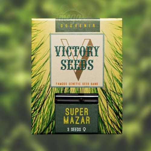 Victory Seeds - Super Mazar